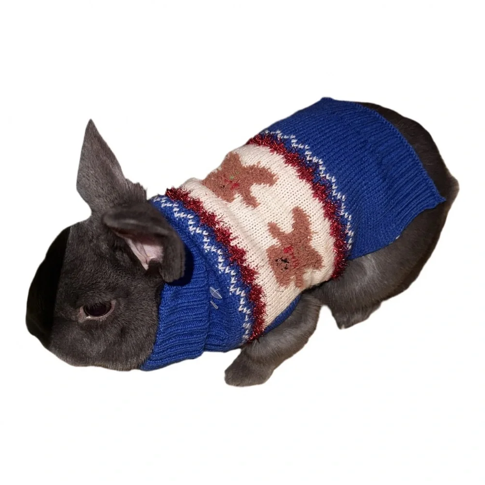 Holiday turtle neck sweater